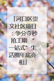 河口区崇文社区项目：争分夺秒抢工期 “一站式”生活圈年底亮相