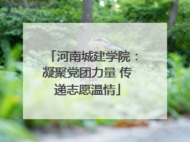 河南城建学院：凝聚党团力量 传递志愿温情