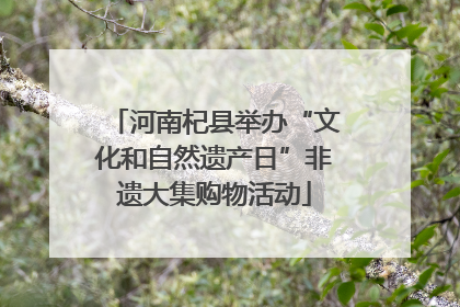 河南杞县举办“文化和自然遗产日”非遗大集购物活动