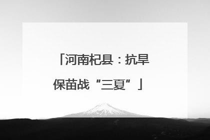 河南杞县：抗旱保苗战“三夏”