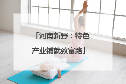 河南新野：特色产业铺就致富路