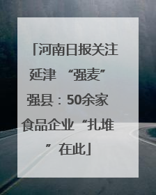 河南日报关注延津 “强麦”强县：50余家食品企业“扎堆”在此