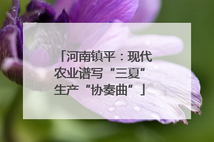 河南镇平：现代农业谱写“三夏”生产“协奏曲”