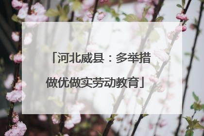 河北威县：多举措做优做实劳动教育