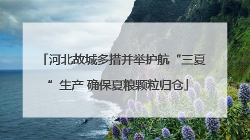 河北故城多措并举护航“三夏”生产 确保夏粮颗粒归仓
