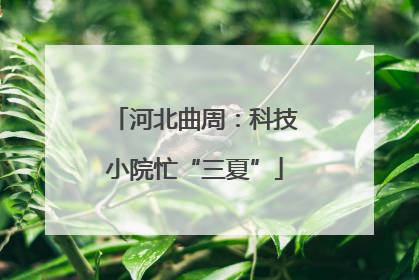 河北曲周：科技小院忙“三夏”
