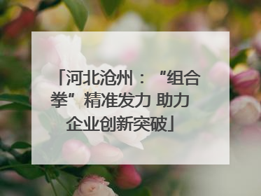 河北沧州：“组合拳”精准发力 助力企业创新突破