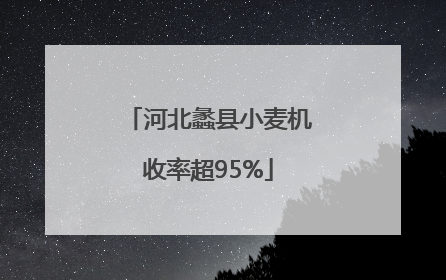 河北蠡县小麦机收率超95%