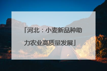 河北：小麦新品种助力农业高质量发展