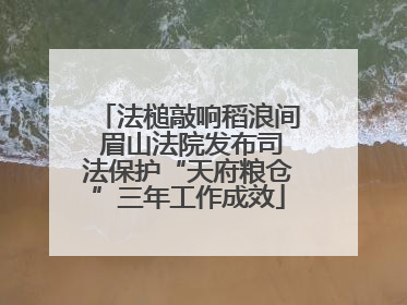 法槌敲响稻浪间 眉山法院发布司法保护“天府粮仓”三年工作成效
