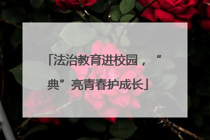 法治教育进校园，“典”亮青春护成长