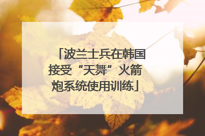 波兰士兵在韩国接受“天舞”火箭炮系统使用训练