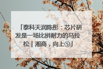 泰科天润陈彤：芯片研发是一场比拼耐力的马拉松｜湘商，向上⑤
