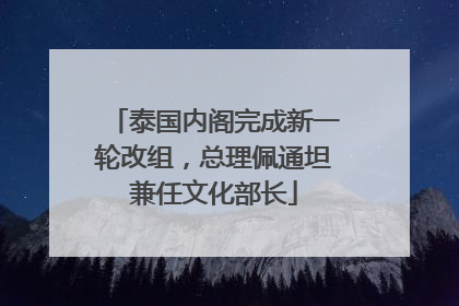 泰国内阁完成新一轮改组，总理佩通坦兼任文化部长