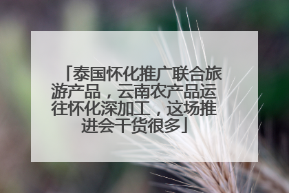 泰国怀化推广联合旅游产品，云南农产品运往怀化深加工，这场推进会干货很多