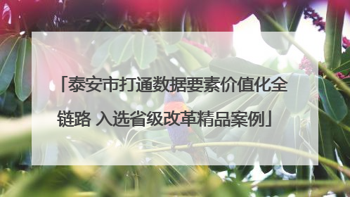 泰安市打通数据要素价值化全链路 入选省级改革精品案例