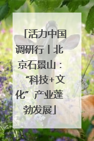 活力中国调研行丨北京石景山：“科技+文化”产业蓬勃发展