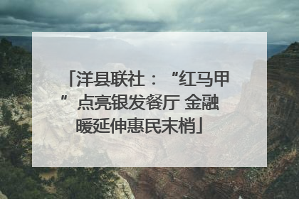 洋县联社：“红马甲”点亮银发餐厅 金融暖延伸惠民末梢