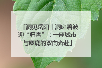洞见岳阳丨洞庭碧波迎“归客”：一座城市与麋鹿的双向奔赴