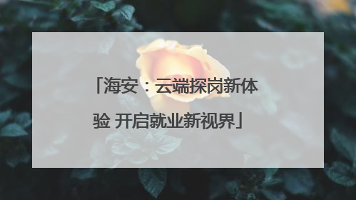 海安：云端探岗新体验 开启就业新视界