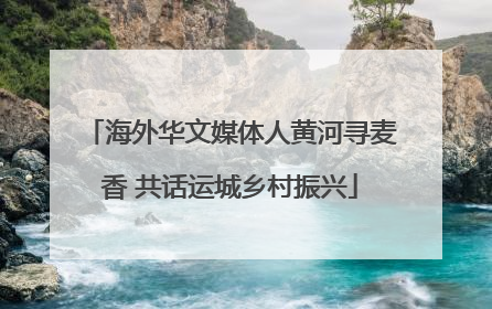 海外华文媒体人黄河寻麦香 共话运城乡村振兴