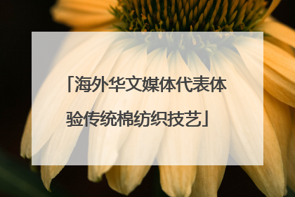 海外华文媒体代表体验传统棉纺织技艺