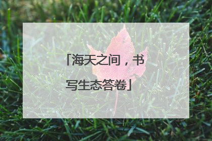 海天之间，书写生态答卷