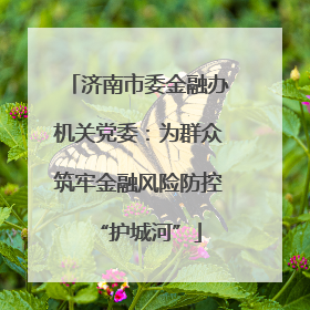 济南市委金融办机关党委：为群众筑牢金融风险防控“护城河”