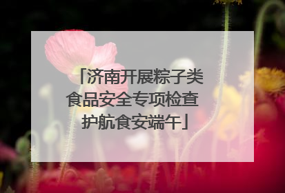 济南开展粽子类食品安全专项检查 护航食安端午
