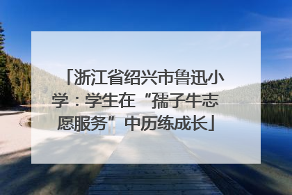 浙江省绍兴市鲁迅小学：学生在“孺子牛志愿服务”中历练成长