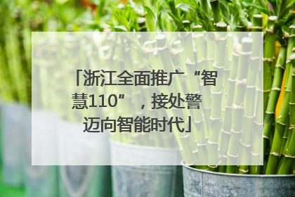浙江全面推广“智慧110”，接处警迈向智能时代