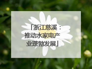 浙江慈溪：推动水家电产业蓬勃发展