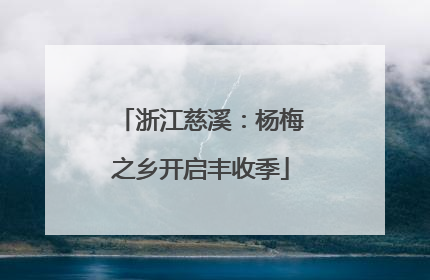 浙江慈溪：杨梅之乡开启丰收季