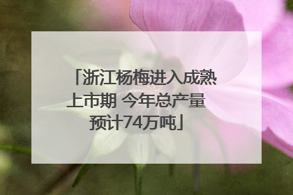 浙江杨梅进入成熟上市期 今年总产量预计74万吨