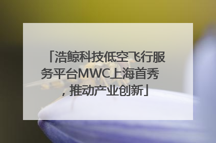 浩鲸科技低空飞行服务平台MWC上海首秀，推动产业创新