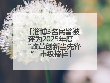 淄博3名民警被评为2025年度“改革创新当先锋” 市级榜样