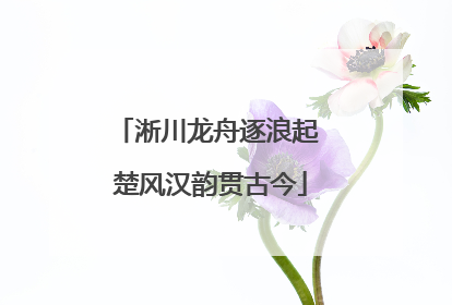 淅川龙舟逐浪起 楚风汉韵贯古今
