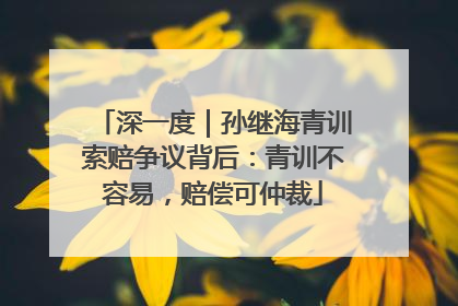 深一度｜孙继海青训索赔争议背后：青训不容易，赔偿可仲裁