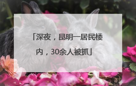 深夜，昆明一居民楼内，30余人被抓