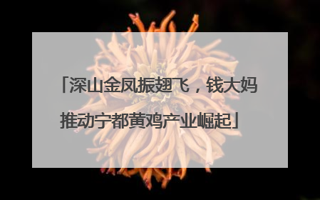 深山金凤振翅飞，钱大妈推动宁都黄鸡产业崛起