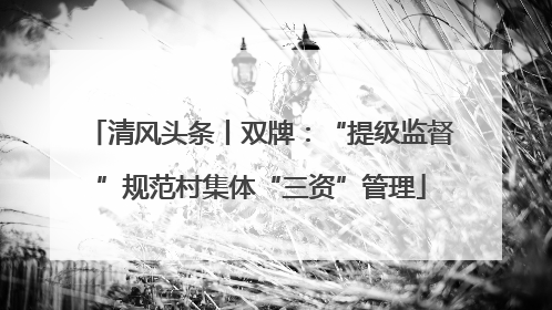 清风头条丨双牌:“提级监督”规范村集体“三资”管理