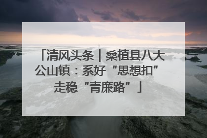 清风头条｜桑植县八大公山镇：系好“思想扣” 走稳“青廉路”