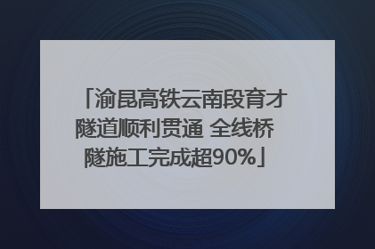 渝昆高铁云南段育才隧道顺利贯通 全线桥隧施工完成超90%
