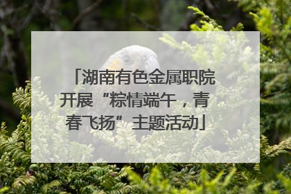 湖南有色金属职院开展“粽情端午，青春飞扬”主题活动