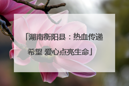 湖南衡阳县：热血传递希望 爱心点亮生命