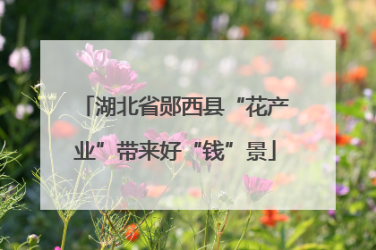 湖北省郧西县“花产业”带来好“钱”景