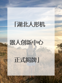 湖北人形机器人创新中心正式揭牌