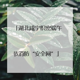 湖北咸宁织密端午节消防“安全网”