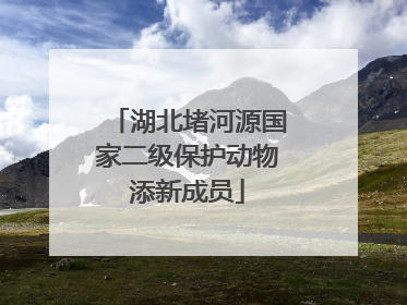 湖北堵河源国家二级保护动物添新成员