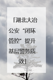 湖北大冶公安“闭环管控”提升基层警务质效